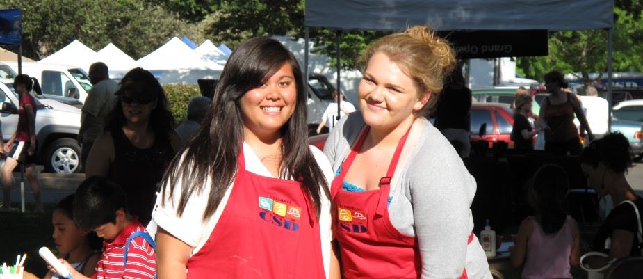 Volunteer at special event