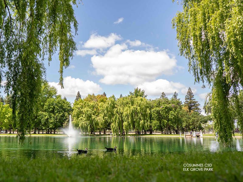Image of Cosumnes CSD Elk Grove Park Lake with ducks