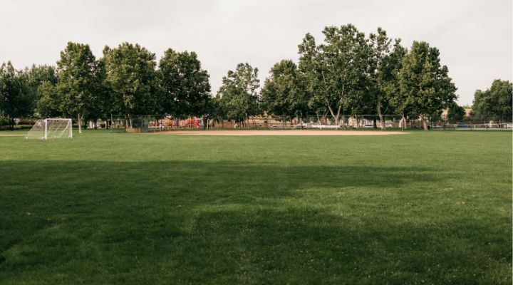 Grass soccer field in the foreground, baseball field in the background