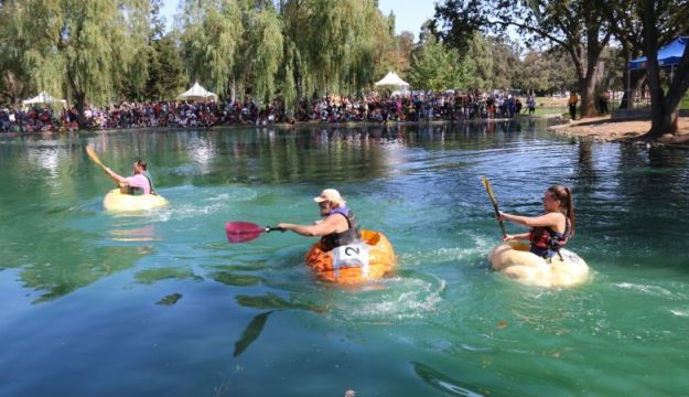 Pumpkin Regatta 2015 Participants