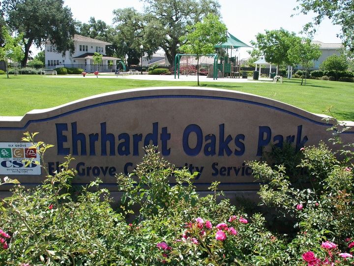 Park Sign with flowering shrubs