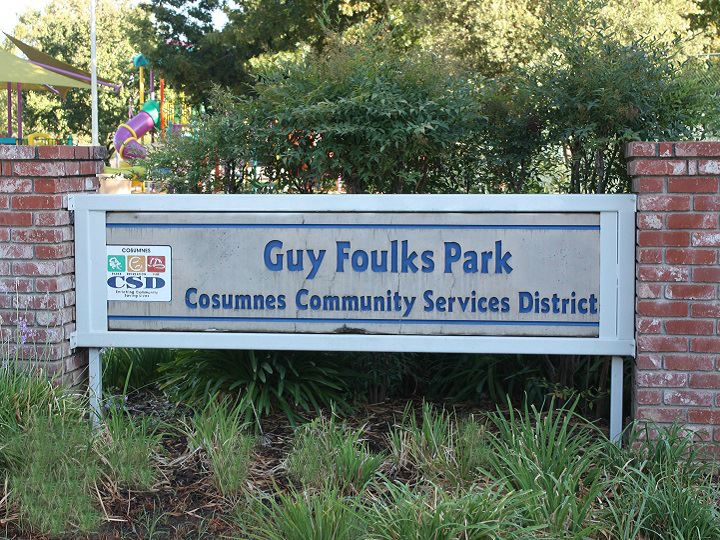 Foulks Park Sign with green lilies in the forground